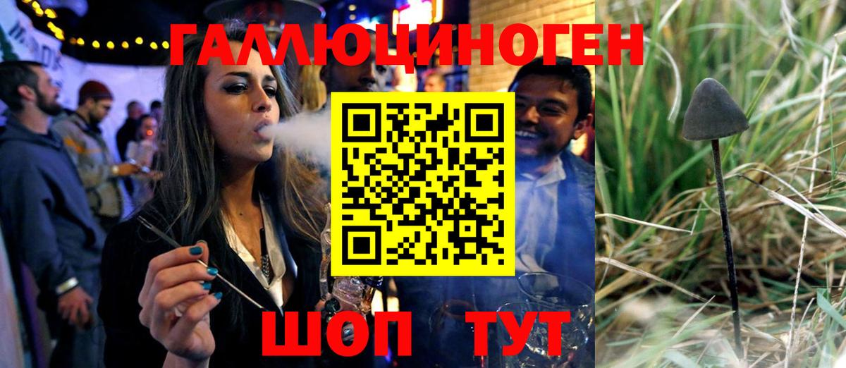 Галлюциногенные грибы Psilocybine cubensis  Псилоцибиновые грибы Cubensis  Вход с VPN  Менделеевск 